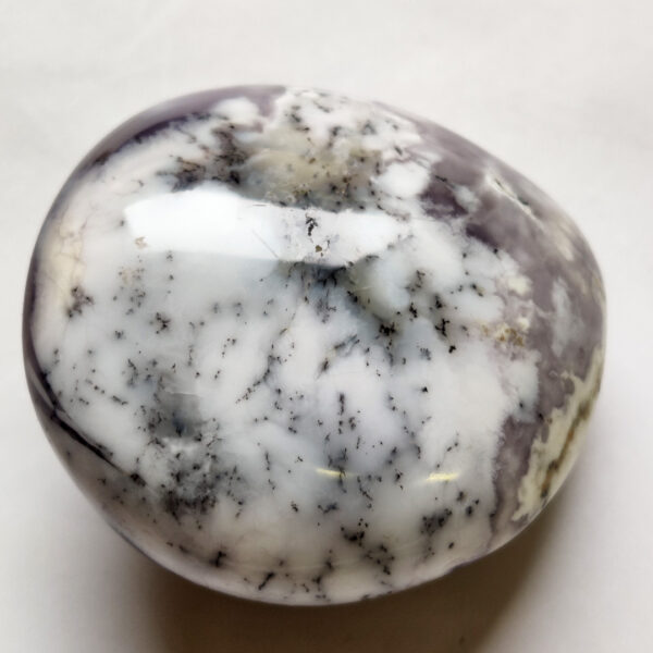 Dendrický opál tromlovaný kámen I #1
