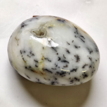 Dendrický opál tromlovaný kámen II #1