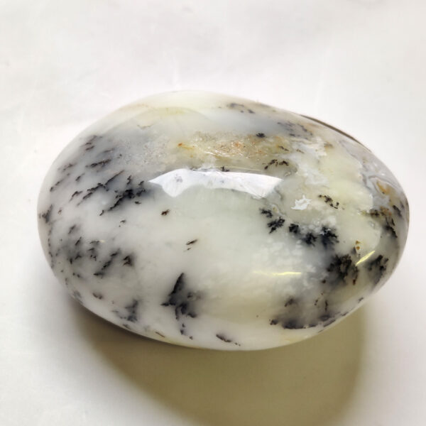 Dendrický opál tromlovaný kámen II #4